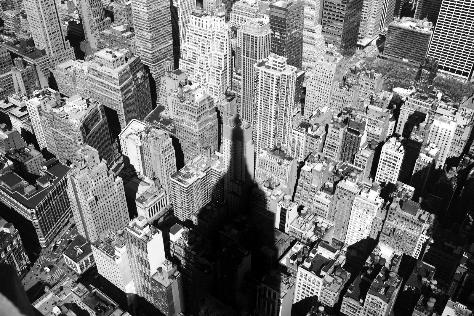 Photograph by Danilo Lauria, New York, 2021